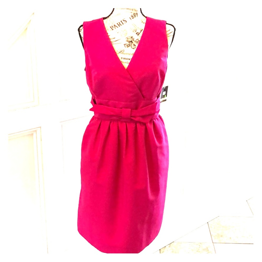 NWT Pink Taylor Dress